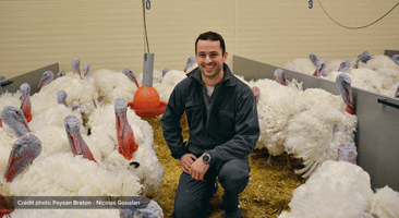 Fabien le Bihan assis au milieu de son élevage de dindes