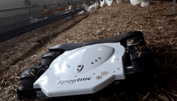 El robot Spoutnic en una ganaderia